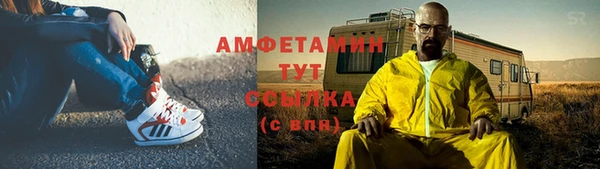 стаф Алексин