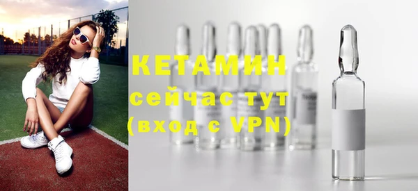 стаф Алексин