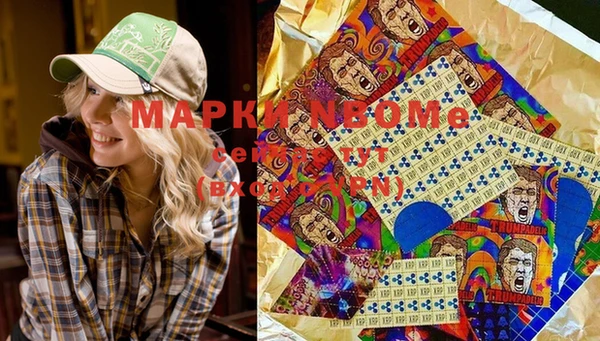 стаф Алексин
