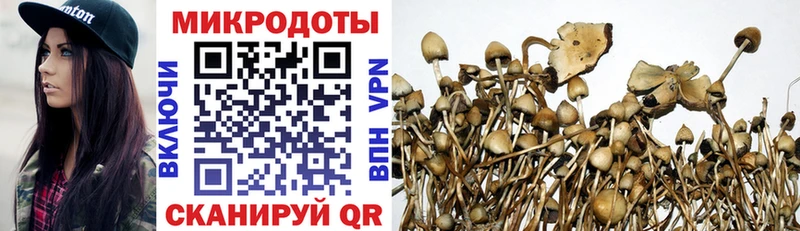 Галлюциногенные грибы GOLDEN TEACHER Саранск